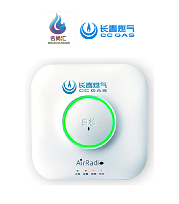 PG电子黄金城夺宝报警器（自然气）